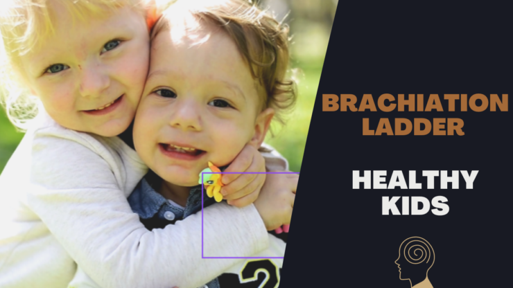 Brachiation Ladder - Healthy Kids